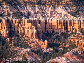 Theater_of_Needles