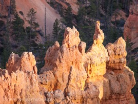 Bryce_Evening