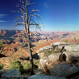 Grand_Canyon_Blue_Skies